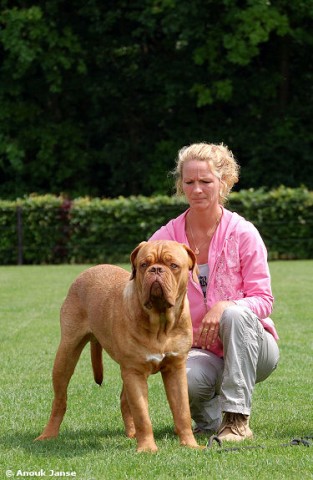 image-1-21.jpg - Harry