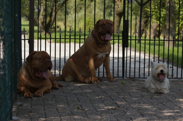 DSC_01162.jpg