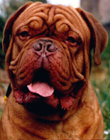 Rano de l'Aube Rouge